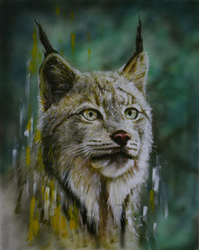 Canada lynx (Painting by David Arrigo)