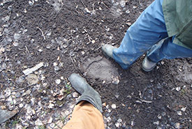 My co-worker and I comparing our feet to prints left by a bear in rural BC.(Photo by Matthew Braun/NCC staff)