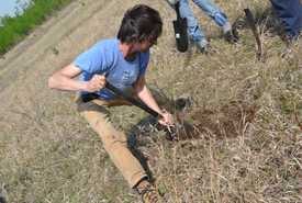 Matthew Braun demonstrates how to plant a seedling (Photo by NCC)