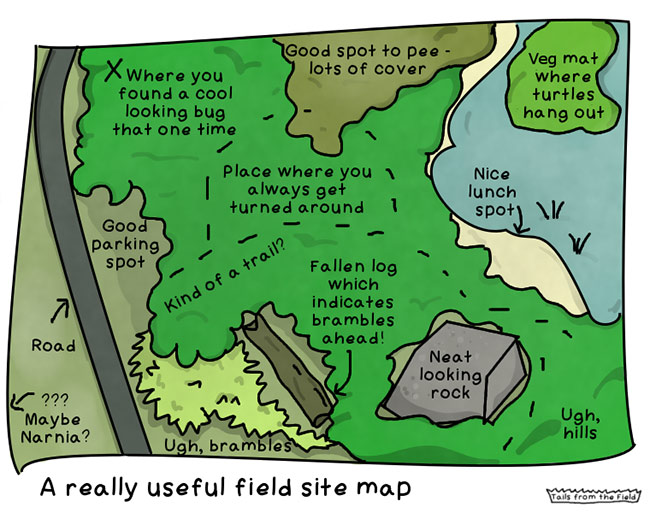Mental field map (Comic by Liv Monck-Whipp, Tails from the Field)