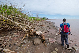 Mitchell MacMillan walks along the shoreline of Governor's Island, PEI (Photo by Sean Landsman)