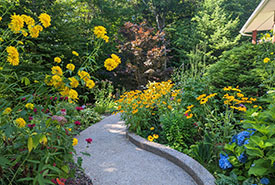 My garden has come a long way in two years! (Photo by Jaimee Morozoff/NCC staff)