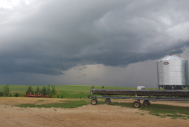 Gross Family Farm, near Spring Valley, SK (Photo by NCC Staff)
