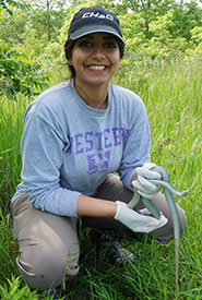 Noor holding a blue racer while assisting with a research project that assesses rare snake populations on conservation lands. (Photo by NCC)