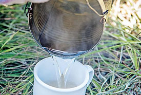 Not much colour in the Labrador tea, but amazing flavour. (Photo by Paul Smith/ Special to The Telegram)