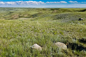 Milk River Basin Natural Area, SK (Photo by NCC)