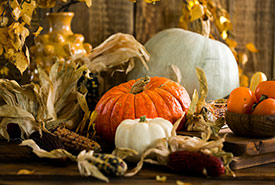 A fall-themed pumpkin display (Photo by Anna Tukhfatullina, Pexels)