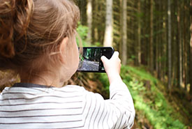 Using a smartphone to identify nature (Photo by Pixabay)