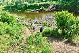 Participants searching for critters during the Pipestone Creek Bioblitz (Photo by NCC)