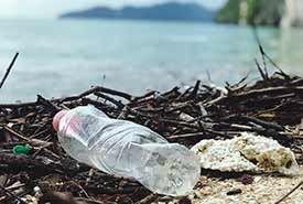 Discarded pastic bottle by the beach (Photo by Catherine Sheila,Pexels)