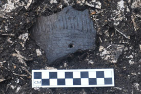 A pottery fragment recovered from a shell midden. Ancient Mi’kmaw ceramic vessels were often elaborately decorated. (Photo by Matthew Betts/Canadian Museum of History)