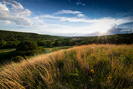 Property in southeast Saskatchewan with a conservation easement with NCC (Photo by Jason Bantle)