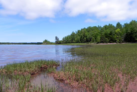 The Pugwash Estuary is a unique mixture of forest, marsh and sandy beaches (Photo by NCC)