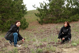 Quincin Chan (NCC) and Nikko Cheung planting native grass plugs (Photo by NCC)