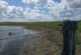 Anabat express acoustic recorder installed at NCC’s Edenwold, SK (Photo by Joe Poissant)