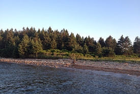Rocky beaches on Mahone Bay, NS (Photo by MICA)