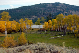 Sage and Sparrow Conservation Area, BC (Photo by NCC)