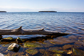 Shoreline of a lake (Photo by Salome Guruli via Unsplash)