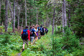 Scout troop hiking along trail in a forest (Photo courtesy Scouts Canada) 