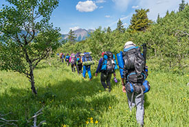 Hiking in single file toward the campsite (Photo by Scouts Canada)