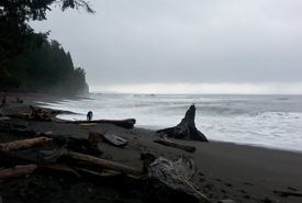 Chris on the stormy shores of Sombrio Beach, BC, 2016. (Photo courtesy Chris Perrin) 