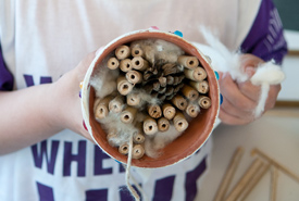 The final product: a five-star bee hotel (Photo by NCC)