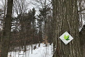 One of the trail signs we hung for the new recreational trail at the NCC’s Mary West property. (Photo by Samantha Ceci)
