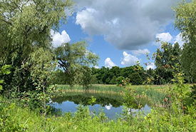The view of the southern pond at Graham property (Photo by Alice Xiao/NCC staff)