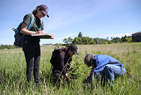 NCC intern and volunteers conducting a tree survey at Upper North Saskatchewan River Basin (Photo by NCC)
