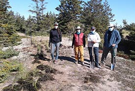 Bénévoles repiquant des plants d’ammophiles à ligule courte, Barre de sable du Barachois de Malbaie, Gaspésie, QC (Photo de CNC)
