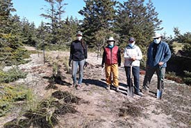 Bénévoles repiquant des plants d’ammophiles à ligule courte, Barre de sable du Barachois de Malbaie, Gaspésie, QC (Photo de CNC) 