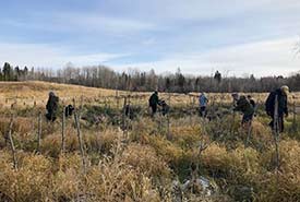 Volunteers plant trees at Bunchberry Meadows, AB (Photo by NCC)