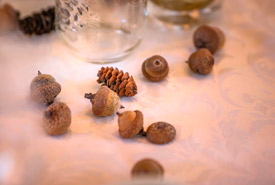 Natural decor is both cheaper and less wasteful. All of the acorns and pine cones were returned to nature after the wedding was over, for food for squirrels and other species. (Photo by Wynn Photo)