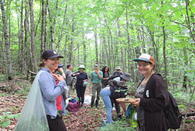 Conservation Volunteers at Westmeath Freshwater Cave tackling creeping Jenny (Photo by Cheryl Spotswood)