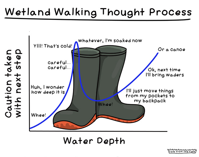 Wetland walking thought process (Comic by Liv Monck-Whipp/Tails from the Field)