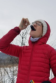 Eating some delicious frost-covered wild grapes (Photo by NCC).