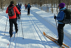 Cross-country skiing in search of wolf tracks on the Kenauk property (Photo by Jaimie Vincent) 