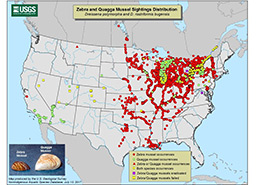 Zebra and quagga mussel distribution (Photo by USGS)