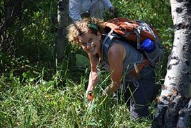 Getting down to uproot invasive burdock on Blind Canyon, AB (Photo by NCC)