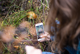 Bénévole enregistrant une observation lors d’un BioBlitz de CNC (Photo de Brent Calver)