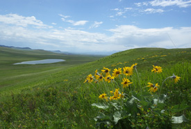 Conserving the Waldron (Photo by NCC)