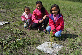 Children with tree at Trees for Bees 2 event (Photo by NCC)