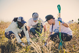 Conservation Volunteers planting trees at Swishwash Island, BC (Photo by NCC)