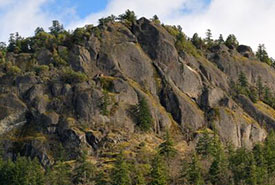 The cliffs of Chase Woods Nature Preserve, BC (Photo by Tim Ennis)