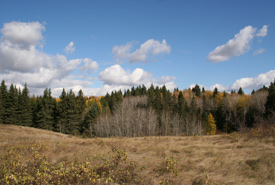 Fescue Prairie, Elk Glen (Photo by NCC)