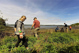 CVs in Musquash Estuary, NB (Photo by NCC)