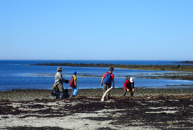 Nettoyage du rivage, île Brier, N.-É. (Photo de CNC)