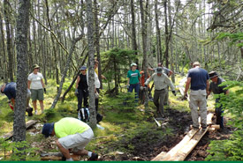 Trail building in Gaff Point, NS (Photo by NCC)