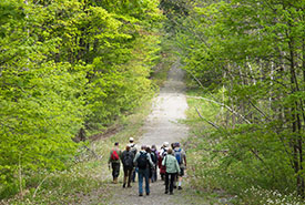Volunteers heading out to pull invasive garlic mustard at a CV event in Happy Valley Forest (Photo by Miguel Hortiguela)