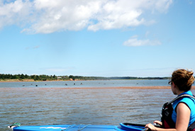 Julie Vassuer enjoying the view of Murray Harbour from her kayak (Photo by NCC)